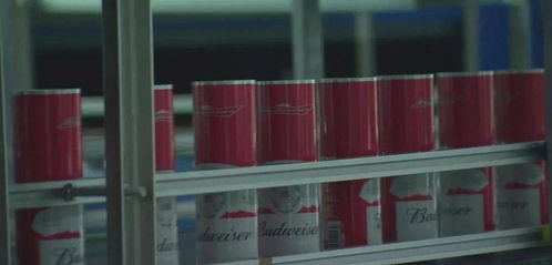 溫州印刷包裝企業(yè)求變創(chuàng)新 裝潢印務(wù)成轉(zhuǎn)型升級(jí)突破口